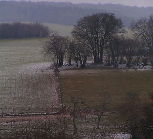 Monsieur le Président,