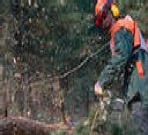 Des accidents du travail en hausse dans le public