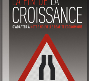 Fin de la croissance