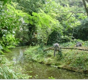 Le Zoo des Sables d’Olonne (85), premier zoo privé français  certifié ISO 14001