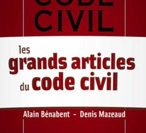 Les grands articles du code civil
