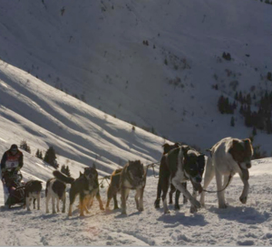 SUZUKI s’engage avec La Grande Odyssée Savoie Mont Blanc et devient « Voiture Officielle » de l’évènement
