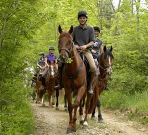 Partenariat entre la FFE et l'ONF pour organiser l'accueil et l'information des cavaliers en forêt domaniale