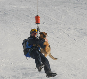 Montgenèvre accueille la formation des chiens d'avalanche de la gendarmerie