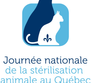 Plus de 2,5 millions de chats et de chiens !