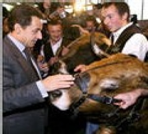 Nicolas Sarkozy au Salon de l'agriculture