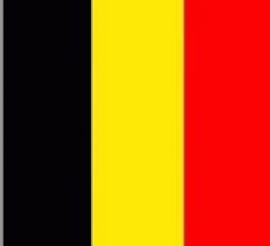 Un gouvernement intérimaire pour la Belgique
