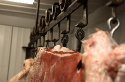 Crise ovine : « Il faut aussi restructurer la filière » Crise ovine : « Il faut aussi restructurer la filière »