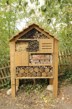 Un « Hôtel à insectes » ouvre ses portes au Parc de l’Ile Saint Germain à Issy-les-Moulineaux