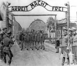 65ème anniversaire de la libération du Camp d’Auschwitz