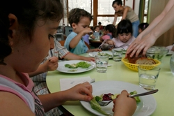 Des repas à faible coût carbone dans les restaurants scolaires de Strasbourg Des repas à faible coût carbone dans les restaurants scolaires de Strasbourg