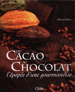 Du cacao au chocolat