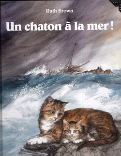 Un chaton a la mer