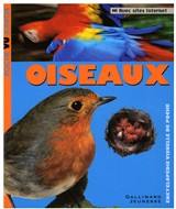 Oiseaux Oiseaux