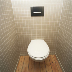 Journée mondiale des toilettes le 19 novembre