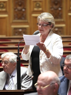 Françoise Férat - Sénateur de la Marne, Union Centriste : « Quelle école voulons-nous pour demain ? »