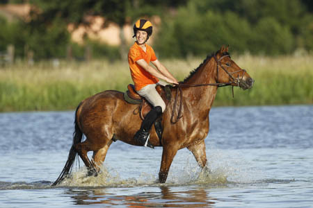 L’engouement des Français pour l’équitation se confirme