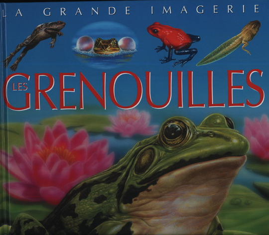 LES GRENOUILLES - La grande Imagerie