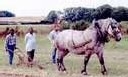 Ramassage scolaire à cheval