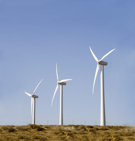 L’éolien : victime collatérale au Sénat ?