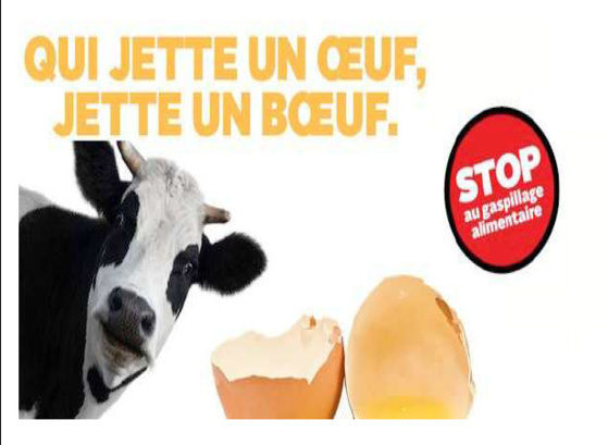 Gaspillage alimentaire : une web-série interactive pour sensibiliser les jeunes Lancement de L@Kolok.com Gaspillage alimentaire : une web-série interactive pour sensibiliser les jeunes Lancement de L@Kolok.com