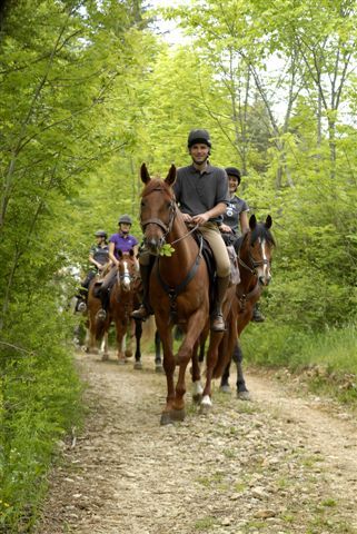 Partenariat entre la FFE et l'ONF pour organiser l'accueil et l'information des cavaliers en forêt domaniale