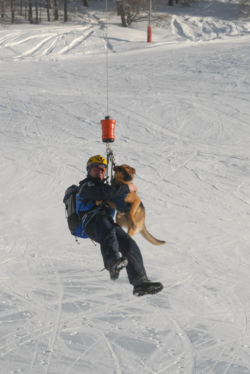 Montgenèvre accueille la formation des chiens d'avalanche de la gendarmerie