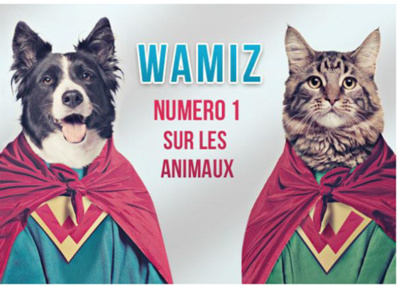 Nouveau record d’audience pour Wamiz.com, le site dédié aux animaux de compagnie