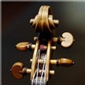 2,7 millions de dollars aux enchères pour un violon 2,7 millions de dollars aux enchères pour un violon