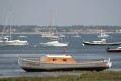 Mauvais sort sur les moules d'Arcachon