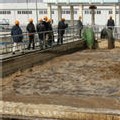 Des opportunités pour les recycleurs en Chine Des opportunités pour les recycleurs en Chine