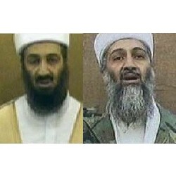 La barbe de Ben Laden désarçonne La barbe de Ben Laden désarçonne