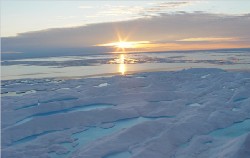 La fonte de l’Arctique désoriente les experts