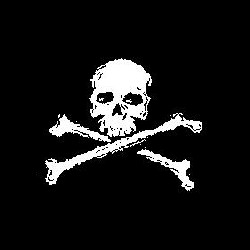 Un nouveau site gouvernemental piraté