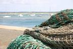 Marins-pêcheurs : Sarkozy calme le jeu