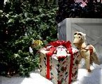 Un budget en baisse pour Noël ? Un budget en baisse pour Noël ?