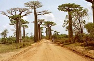 Orange va connecter Madagascar à l’internet haut débit Orange va connecter Madagascar à l’internet haut débit