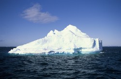 Journée mondiale des océans