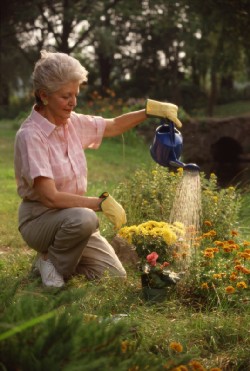 Enquête CSA « les jardiniers amateurs, acteurs-actifs du développement durable » Enquête CSA « les jardiniers amateurs, acteurs-actifs du développement durable »