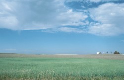 Libérer l’agriculture de sa dépendance au pétrole Libérer l’agriculture de sa dépendance au pétrole