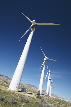 Energies renouvelables : les investissements auraient cru de 60% en 2007