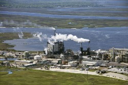 Installation du Comité stratégique des éco-industries