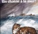 Un chaton a la mer
