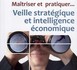 Maîtriser et pratiquer... Veille stratégique et intelligence économique