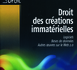 DROIT DES CRÉATIONS IMMATÉRIELLES