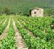 Les vignerons protestent