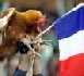 Les Bleus tenus en échec