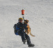 Montgenèvre accueille la formation des chiens d'avalanche de la gendarmerie