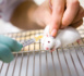 Expérimentation animale : lancement du questionnaire grand public