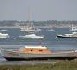 Mauvais sort sur les moules d'Arcachon